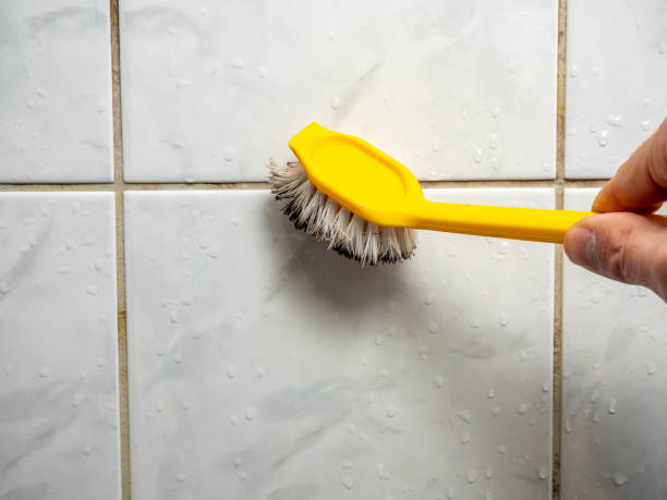 Best Emergency Mold Removal  in Penrose, CO