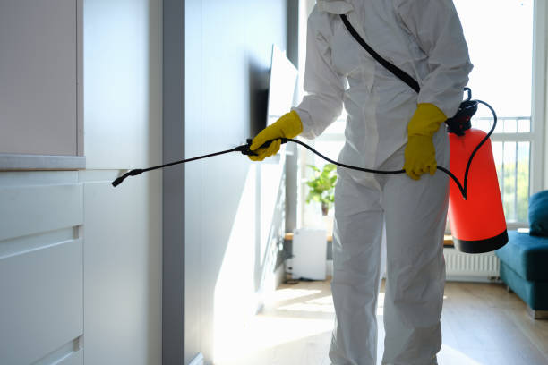 Best Office Mold Removal Services  in Penrose, CO