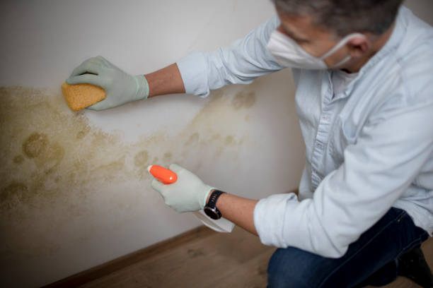 Best Mold Testing  in Penrose, CO