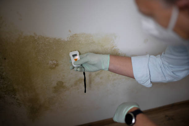 Penrose, CO Mold Removal Company