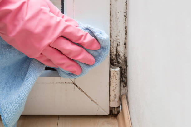 Best Mold Testing  in Penrose, CO