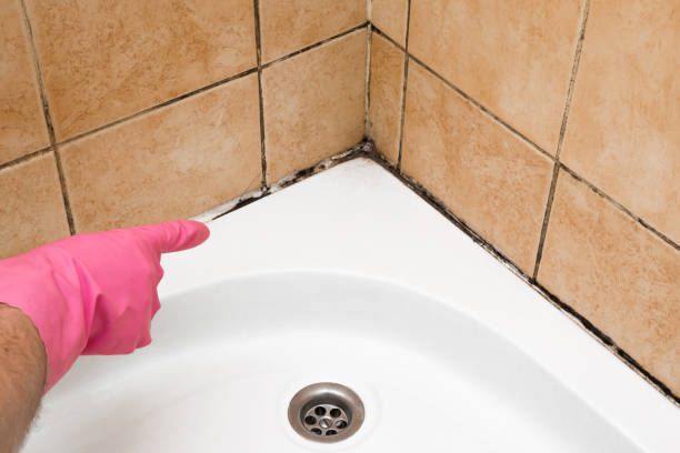 Best Residential Mold Removal  in Penrose, CO